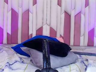 mc-stanfort webcam