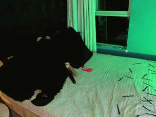 alice-christina webcam