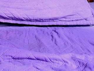 ani-shaa live cam profile