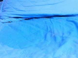 ani-shaa live webcam show