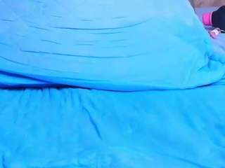 ani-shaa live webcam show