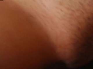 honeys-fx Profile Image