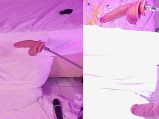 Dolly-mae's cam show statistics and live stream