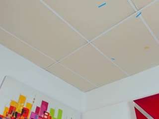 mimisweeht webcam