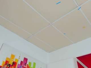 mimisweeht webcam