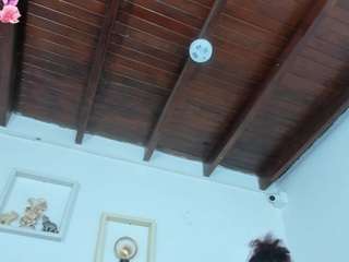 vahiolet-fuentes1 webcam