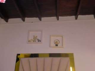 vahiolet-fuentes1