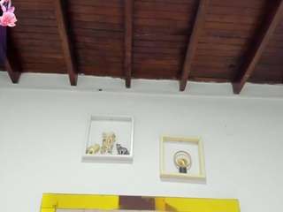 vahiolet-fuentes1 webcam