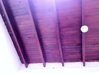 vahiolet-fuentes1 webcam model