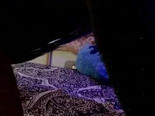 Velvetnyx on Camsoda