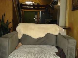 kimber