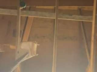 lacejackman69 webcam