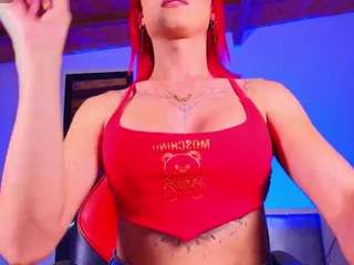 PARADISETRANSS