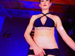 paradisetranss