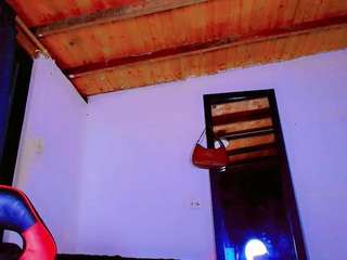paradisetranss