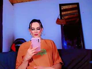 PARADISETRANSS