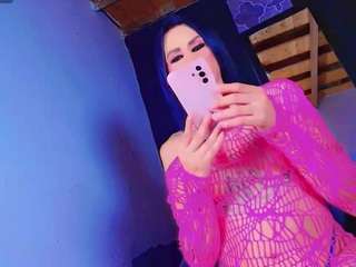 paradisetranss