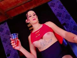 paradisetranss
