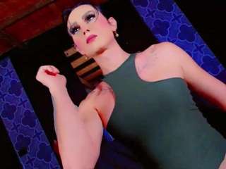 PARADISETRANSS