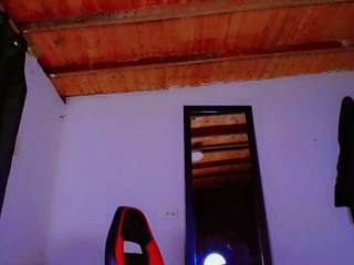PARADISETRANSS live webcam show