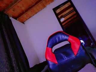 paradisetranss