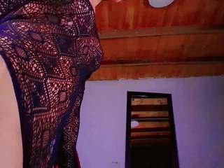 paradisetranss