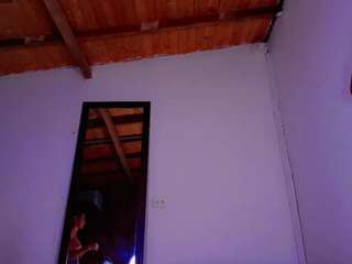 PARADISETRANSS