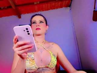 paradisetranss