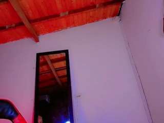 PARADISETRANSS
