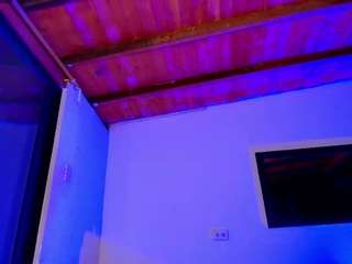 PARADISETRANSS live cam preview