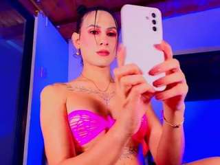 PARADISETRANSS