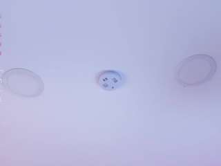 haily-b webcam