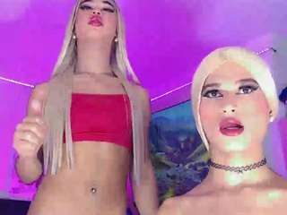 dalilbacil