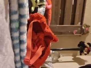 devilsdogtoy