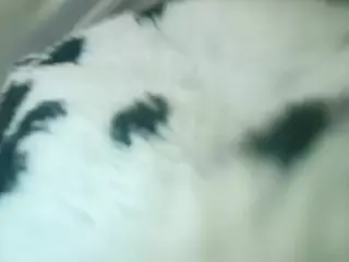 devilsdogtoy's Live Sex Cam Show