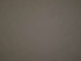 stassiethatsororitygirl webcam