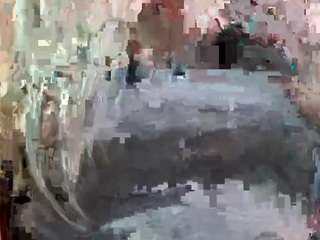 stassiethatsororitygirl webcam