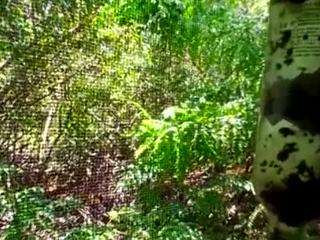 myeroticlifeafterdark webcam