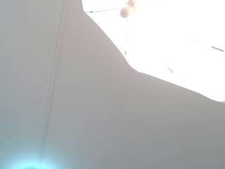 scalrte-levis webcam