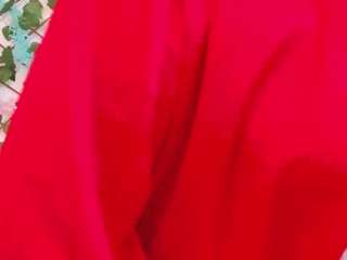 scalrte-levis webcam