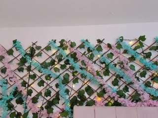 scalrte-levis webcam