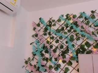 scalrte-levis webcam