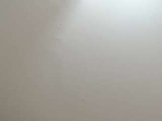 scalrte-levis webcam