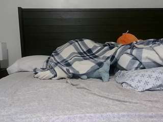 Live webcam model queenlolaxxx on Soda Cams