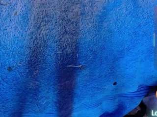  valeria-de-leon chat room