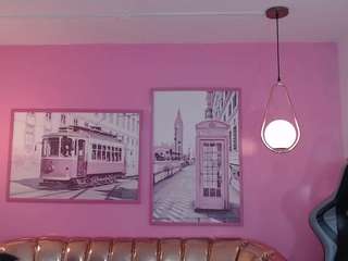 catalina25-t webcam model