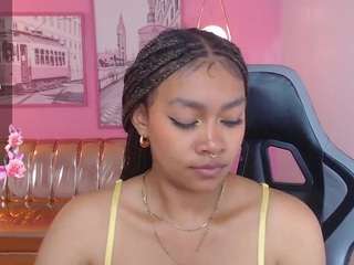 catalina25-t webcam model