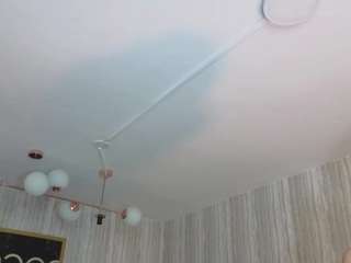 clementine-t webcam model