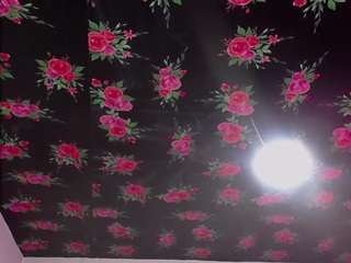 elody-a webcam model