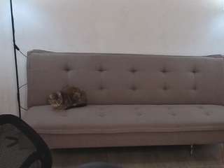 emma-wockll-t's live room